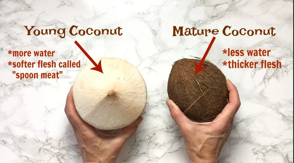 How to open a coconut at home