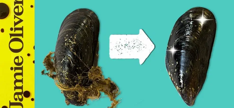 How to peel mussels, video