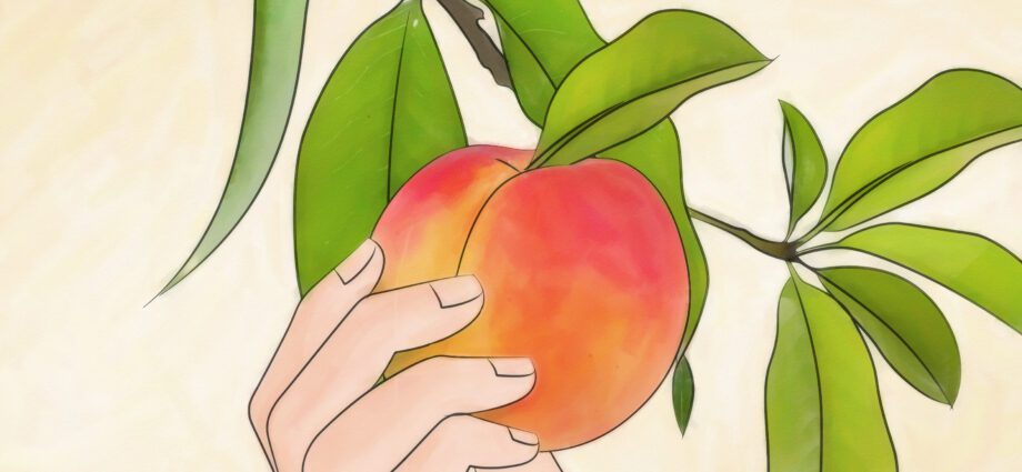 How to plant a peach correctly