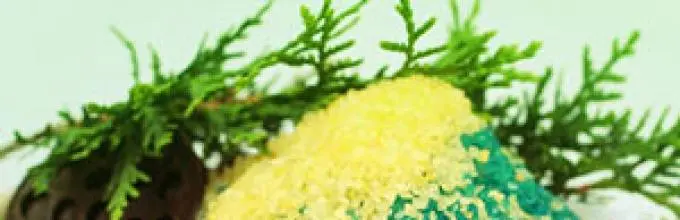 How to prepare a coniferous salt bath