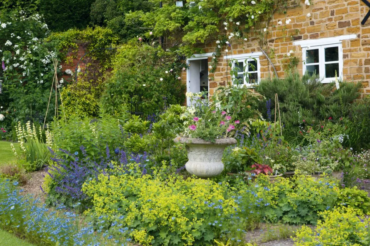 How to prepare summer cottage plants for winter