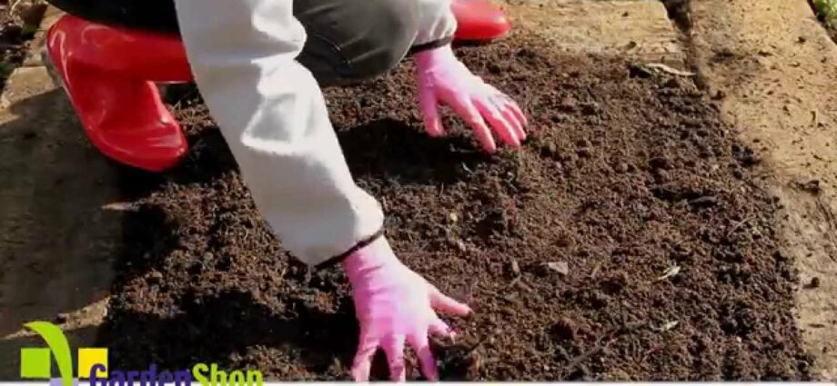 How to prepare the soil for planting? Video