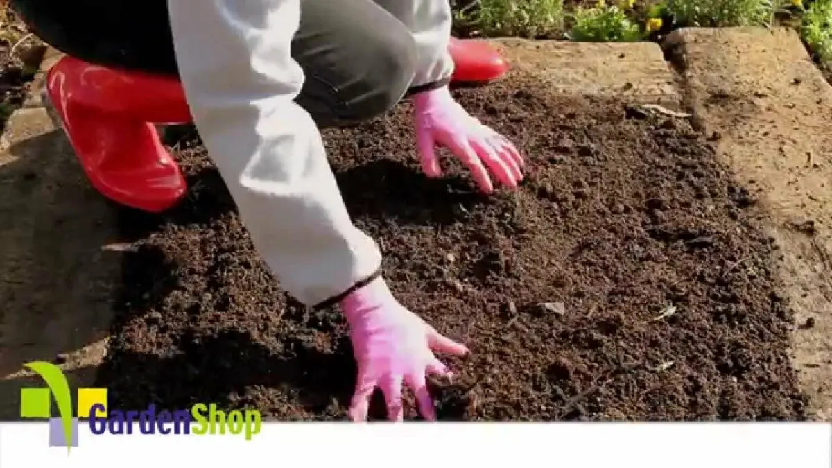 How to prepare the soil for planting? Video