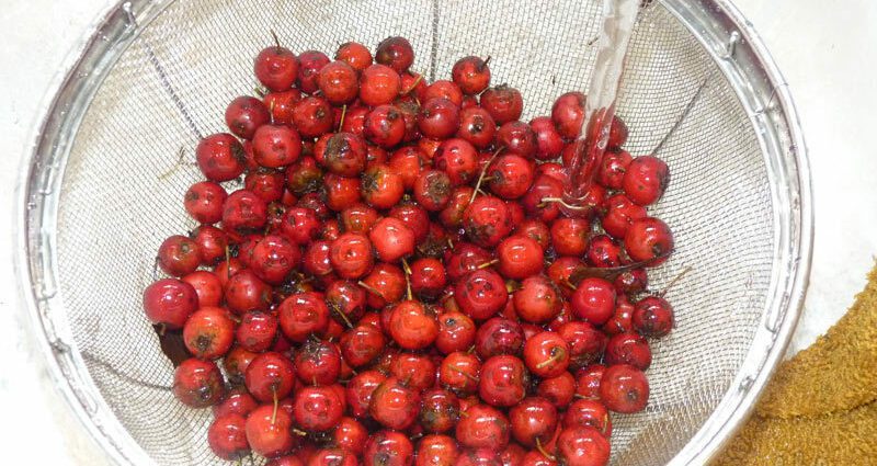 How to properly dry hawthorn at home