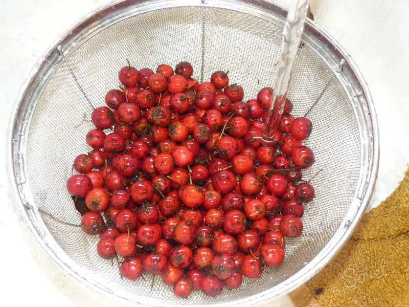 How to properly dry hawthorn at home