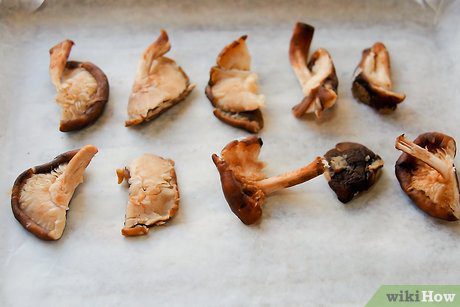 How to properly dry mushrooms at home