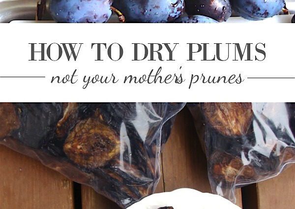 How to properly dry plums at home, in the oven