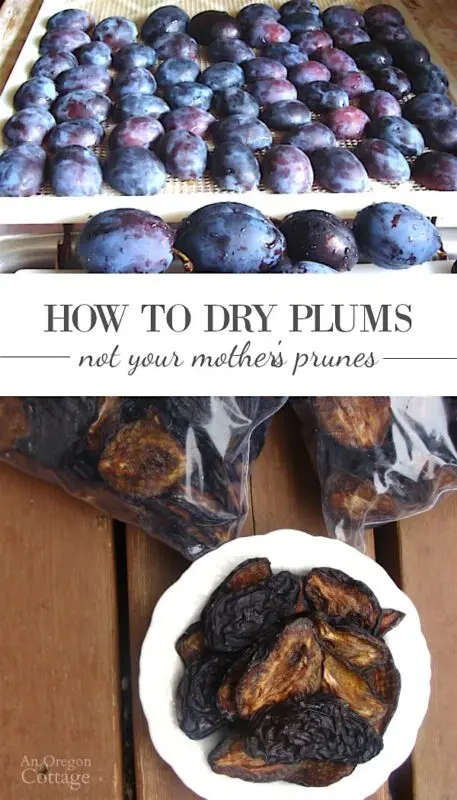 How to properly dry plums at home, in the oven