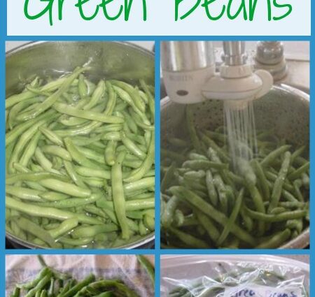 How to properly freeze beans for the winter