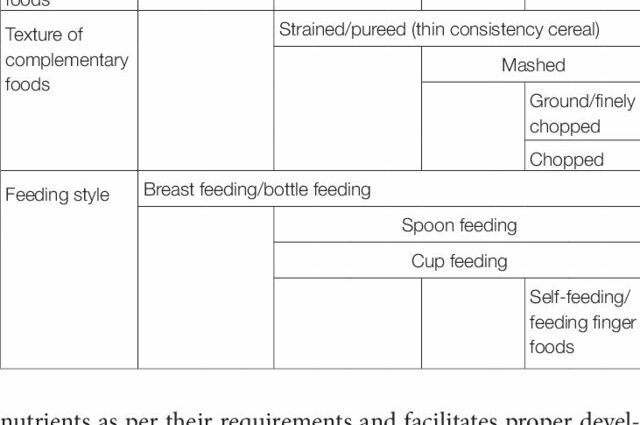 How to properly introduce complementary foods to a child? Video