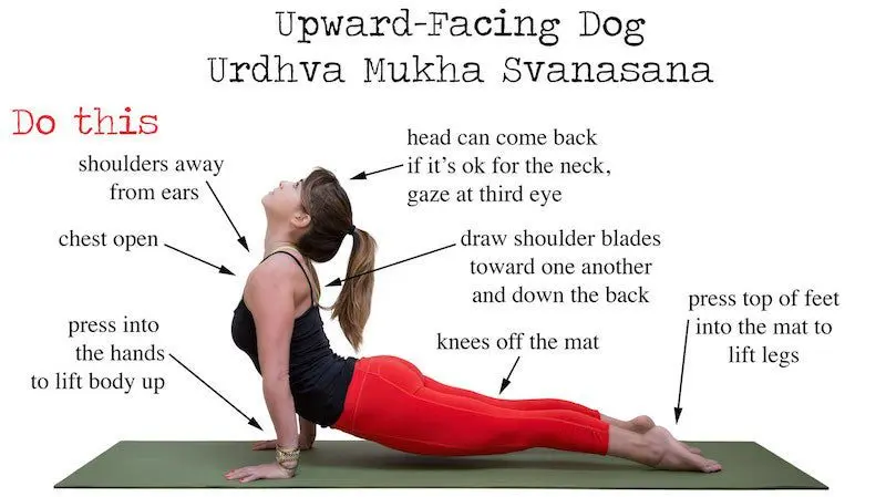 How to properly practice doggy style?