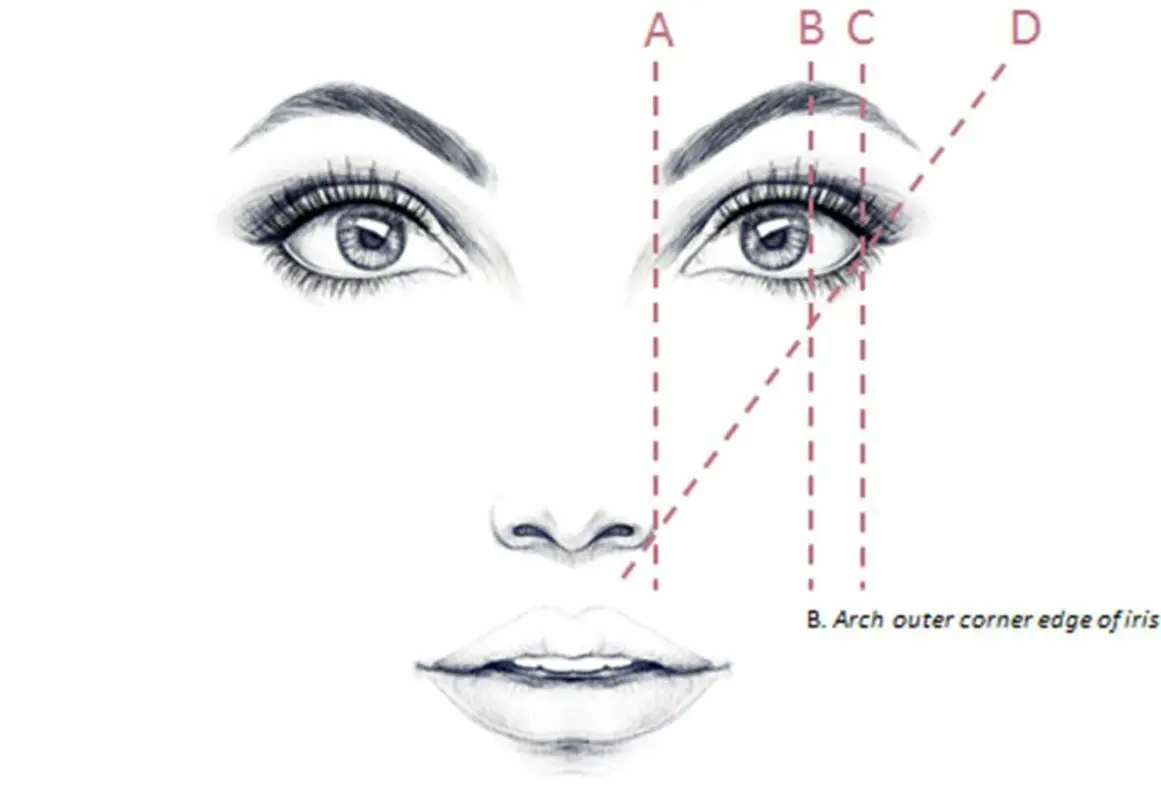 How to properly shape the eyebrows: photo 2018