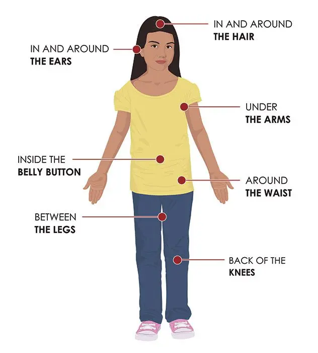 How to protect yourself from a tick; What should I do if bitten by a tick