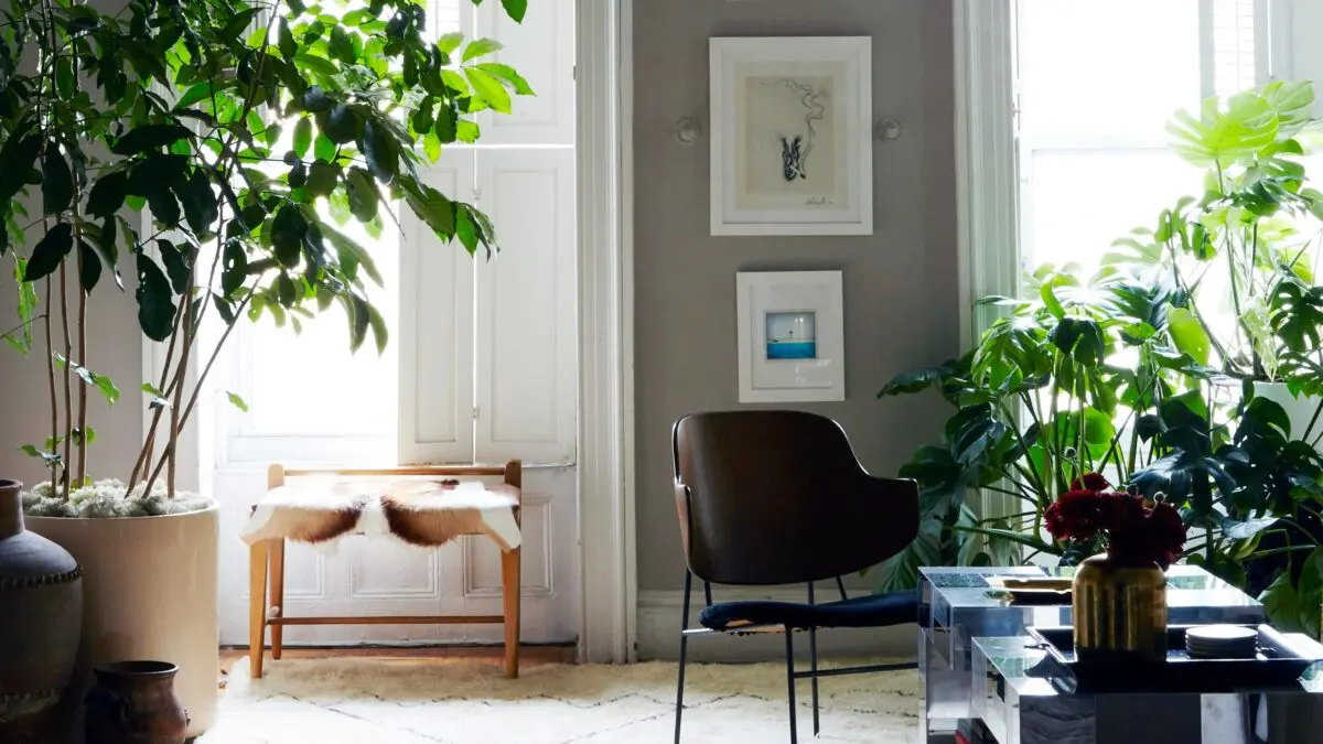 How to quickly and inexpensively clean a rented apartment