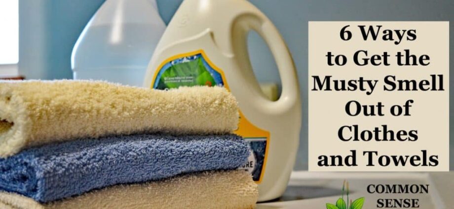 How to quickly get rid of the smell of musty clothes in the closet