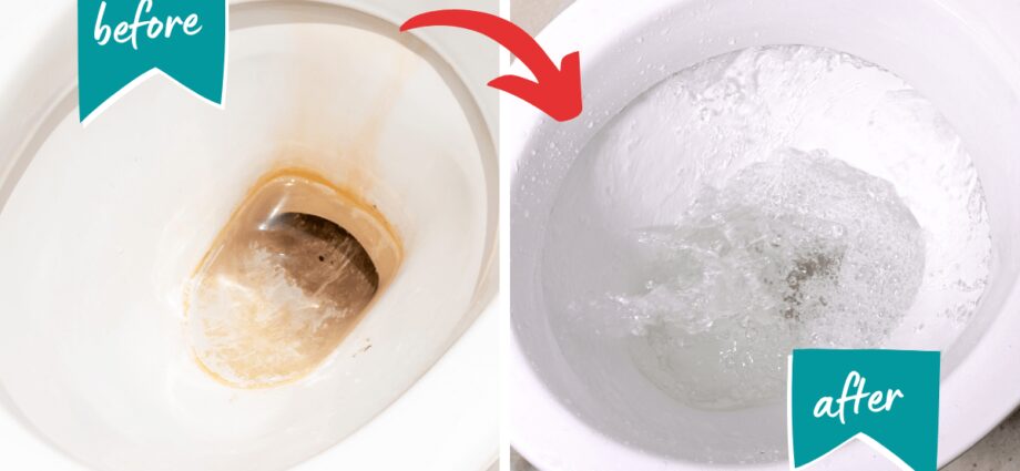 How to remove limescale from the toilet