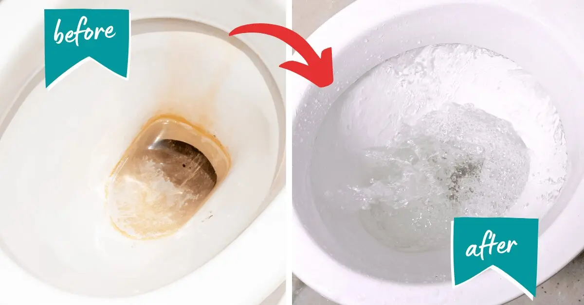 How to remove limescale from the toilet