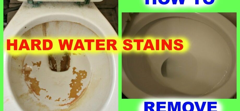 How to remove plaque in the toilet: how to properly clean the toilet from all types of plaque