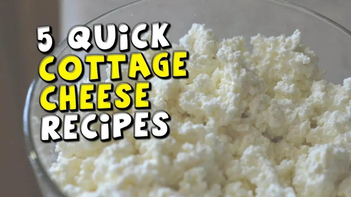 How to replace cottage cheese in diet and baking