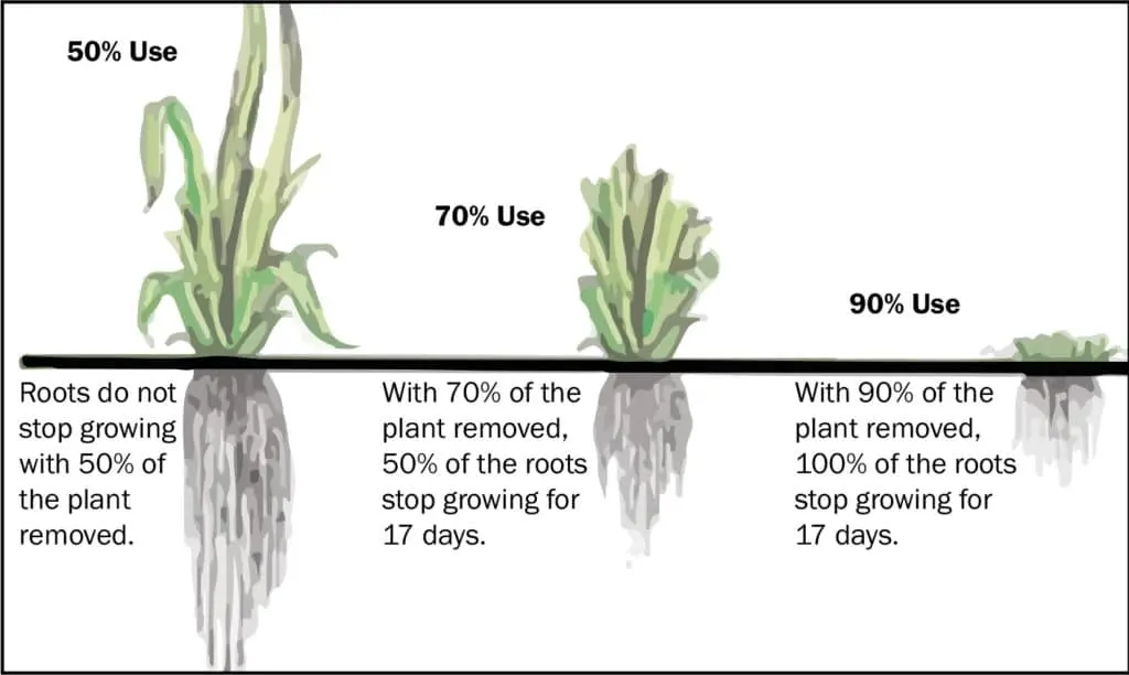 How to restore soil fertility in the fall: tips