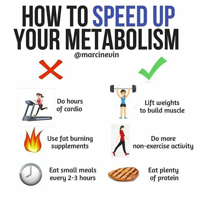 How to speed up your metabolism