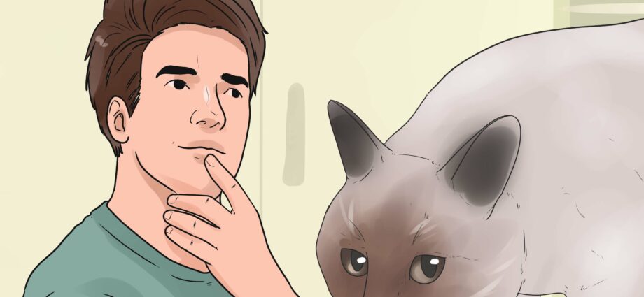 How to stop a kitten from biting and scratching