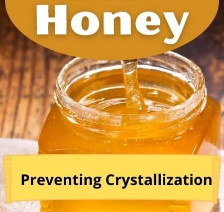 How to store and eat honey in combs at home; how to get honey from honeycomb