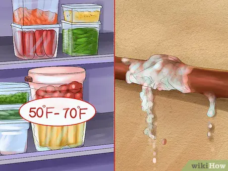 How to store food so that it does not spoil longer