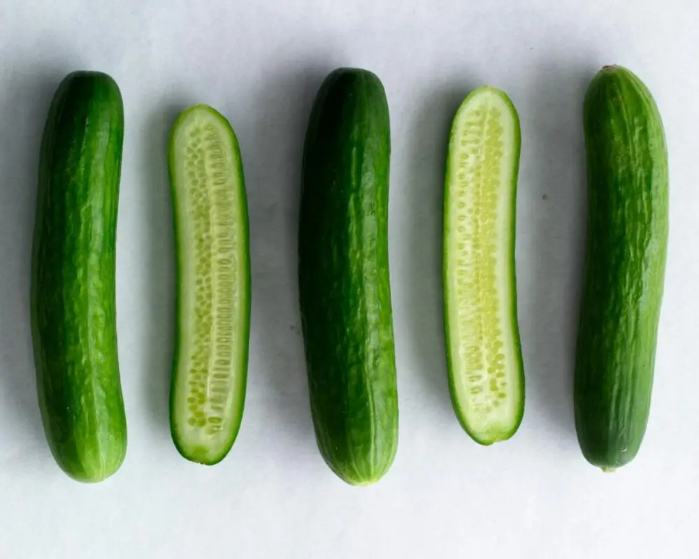 How to store fresh cucumbers at home