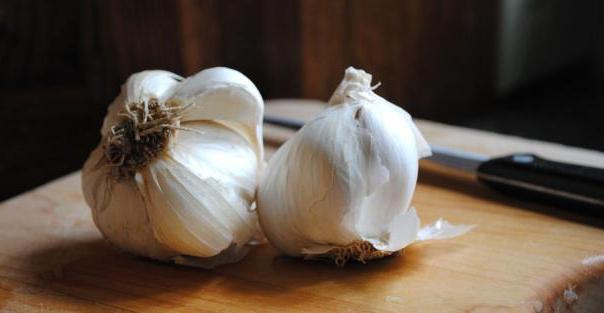 How to store garlic in an apartment, how to properly store it in winter