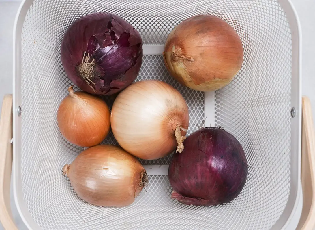 How to store onions in the refrigerator