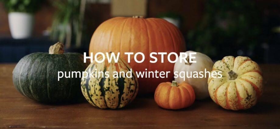 How to store pumpkin for the winter at home