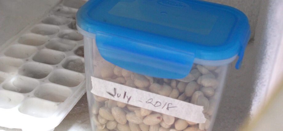 How to store shelled nuts at home