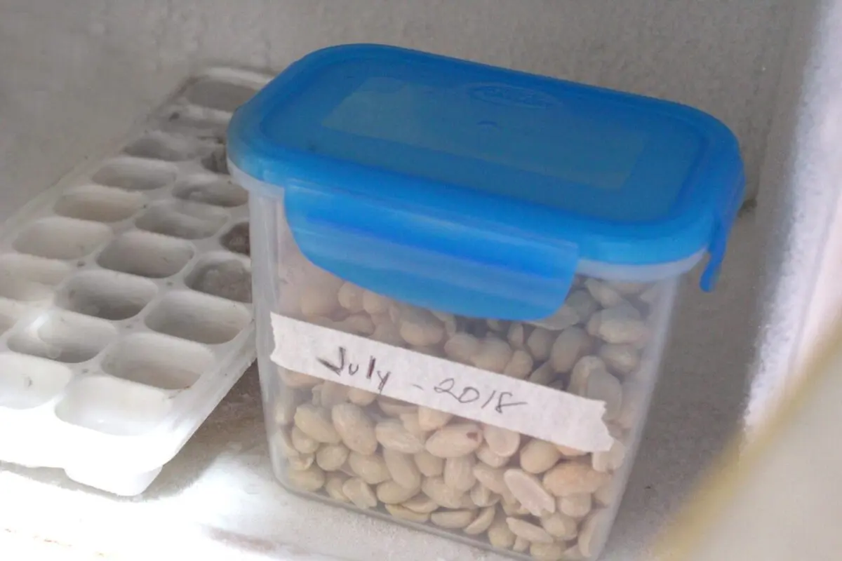 How to store shelled nuts at home