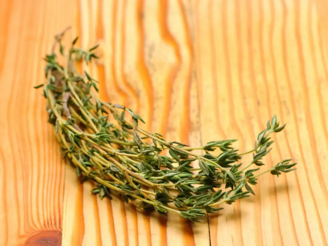 How to store thyme at home