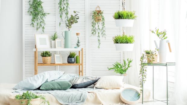 How to surround your home with nature to improve your mood and energy