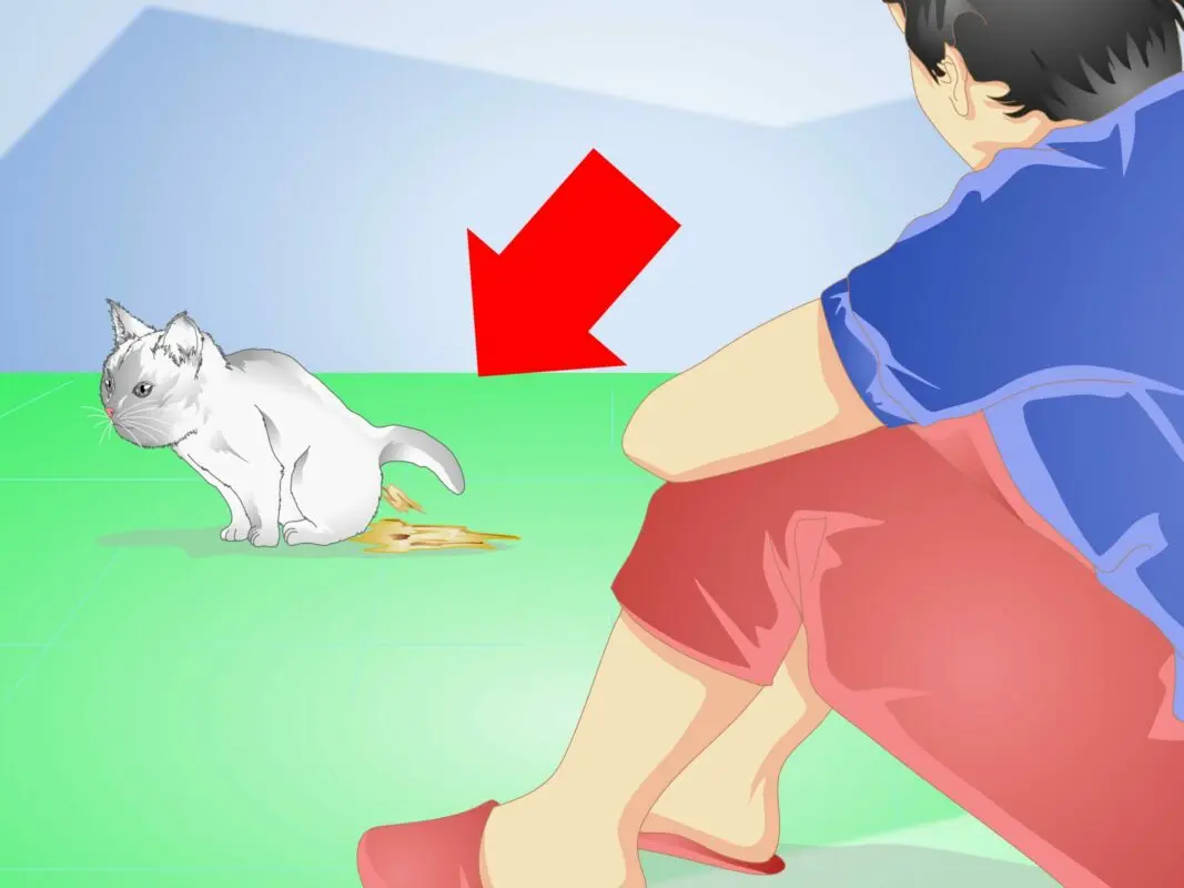 How to train your cat to eat food