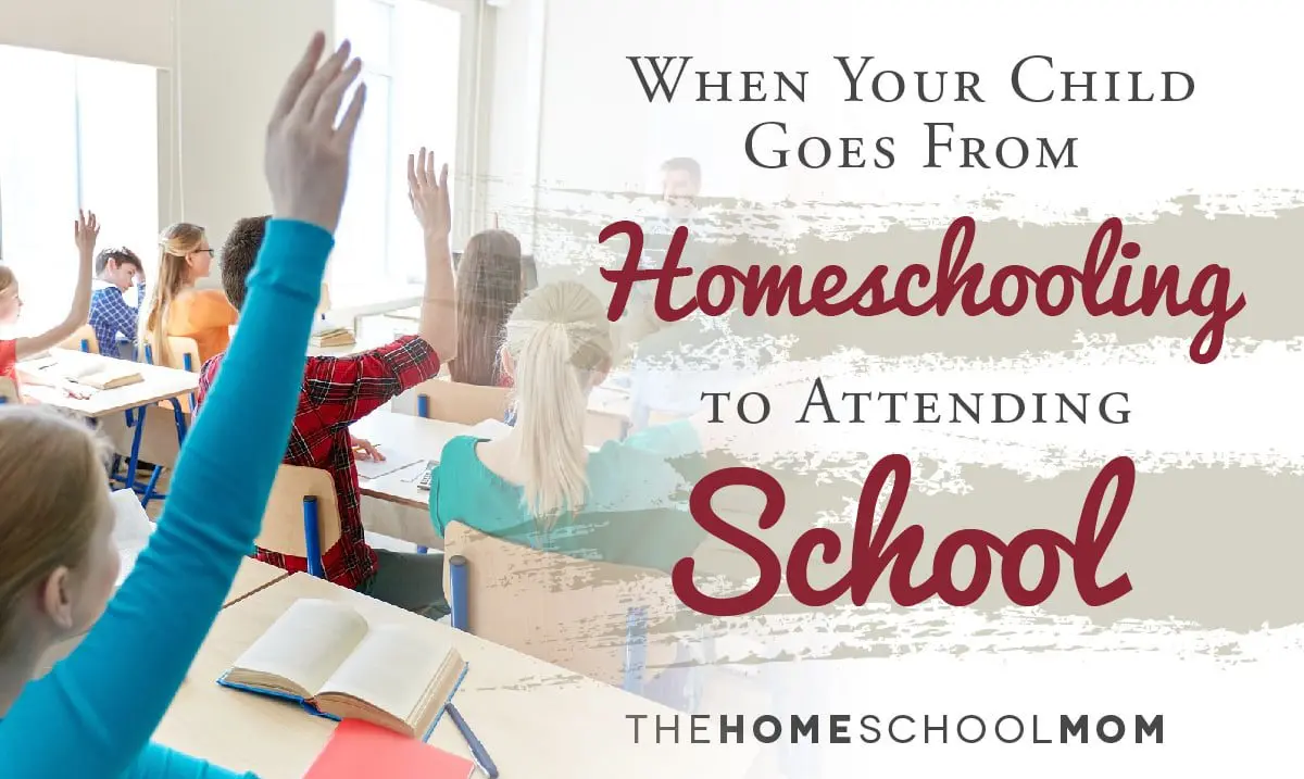 How to transfer a child to home schooling and is it worth doing