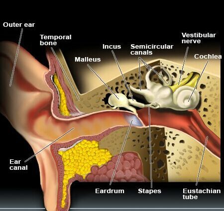 How to treat an ear infection?