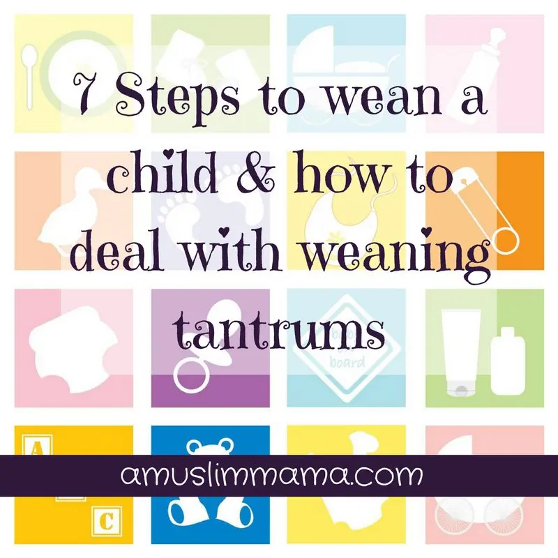 How to wean a child from screaming, weaning from whims and scandals