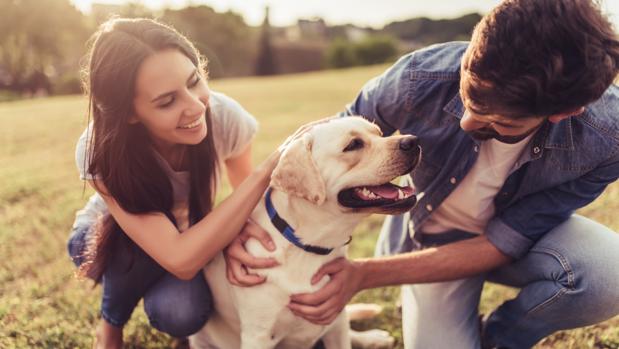 How your pet can influence your love relationship