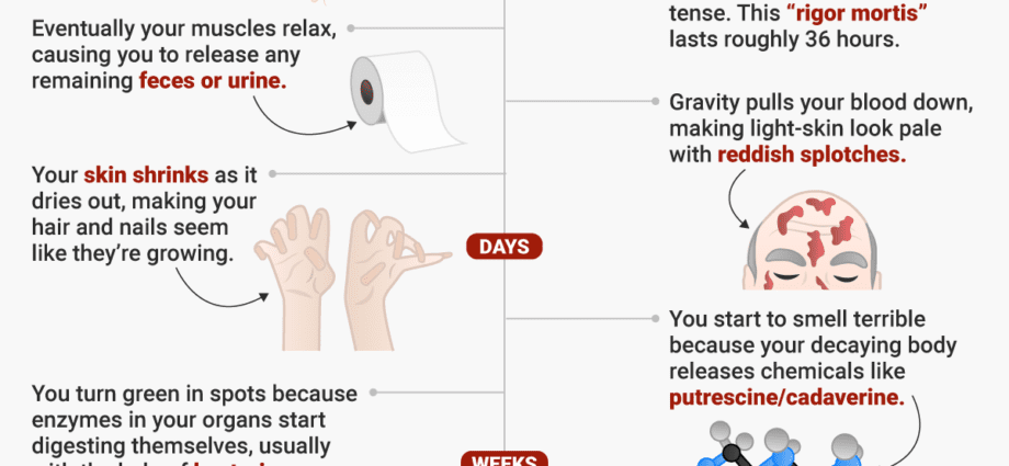 Human body: what happens during death?