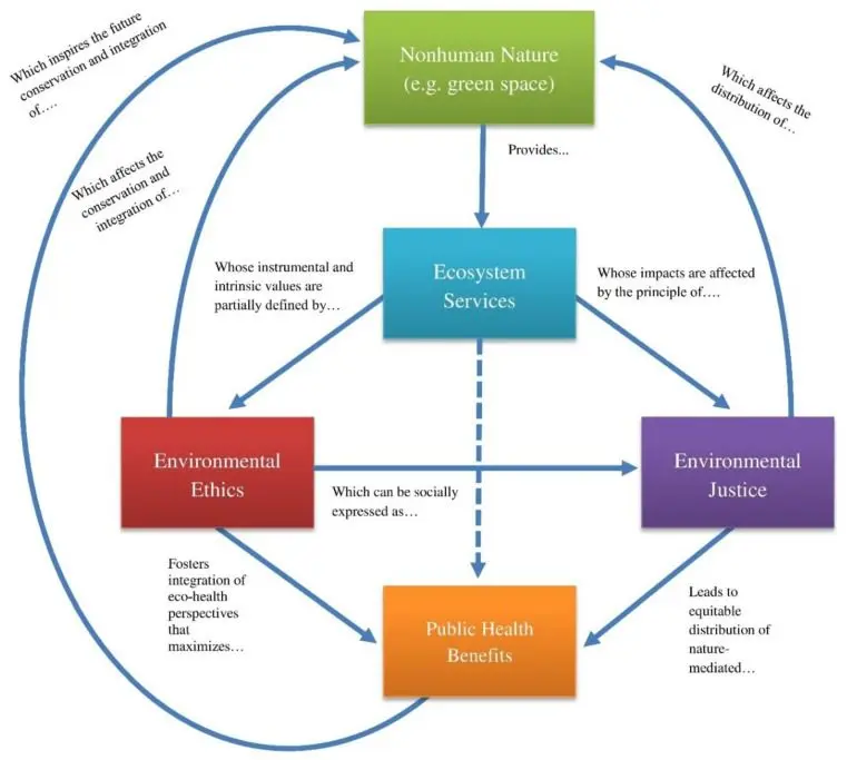 Human health is linked to the environment