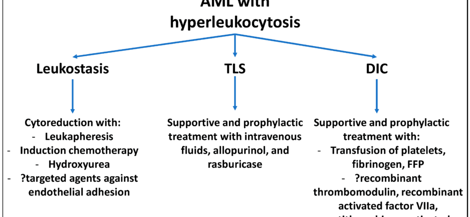 Hyperleukocytosis: definition, causes and treatments