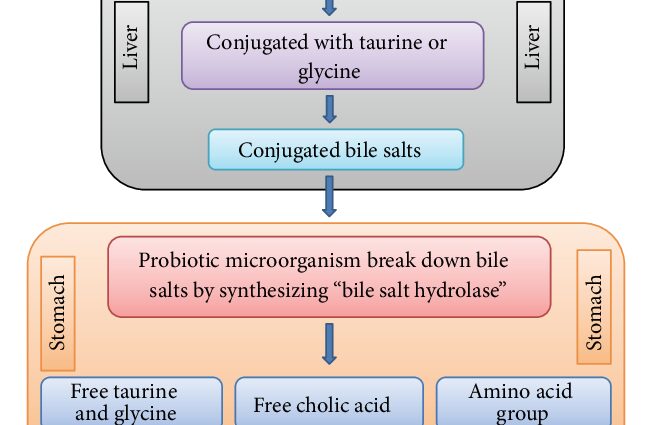 Hypocholesterol diet: menu, reviews