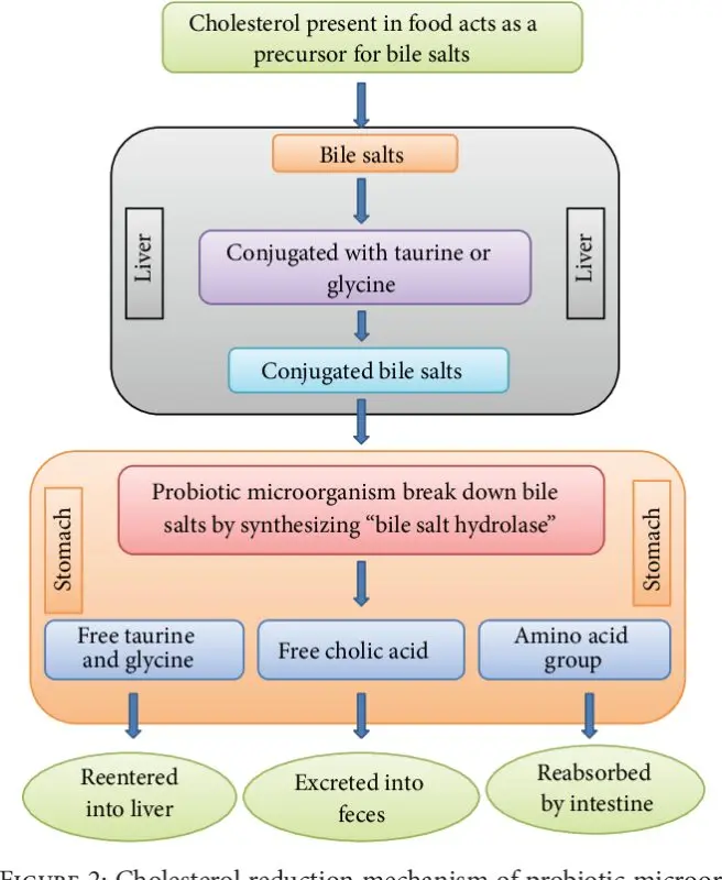 Hypocholesterol diet: menu, reviews