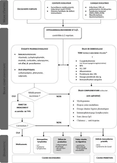 Hypogammaglobulinemie