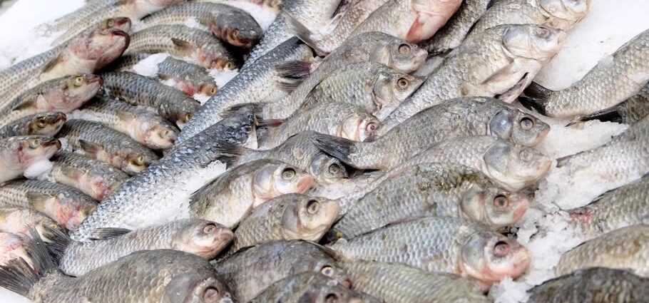 Isfisk: hur man förbereder måltider? Video