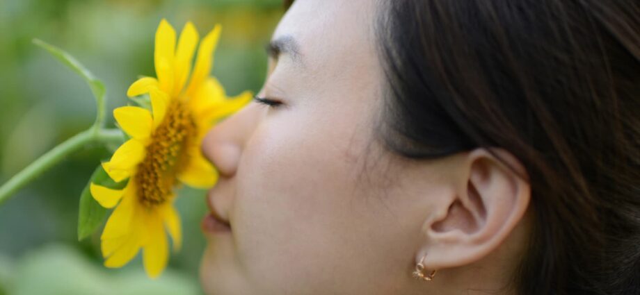 If the sense of smell has disappeared: how to restore and what to do