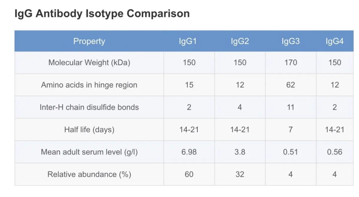 IGG: what does the immunoglobulin G level correspond to?